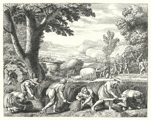 Harvest Scene