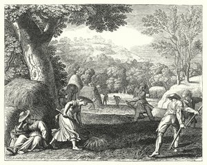 Harvest Scene