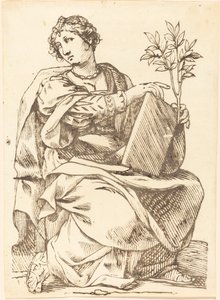 Sibylla Agrippa