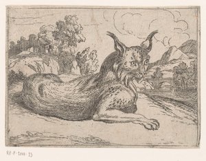 Lynx (Animals in Landscapes)