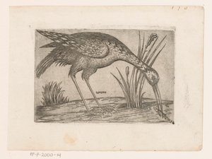 Bird by Jacques de Fornazeris (possibly)