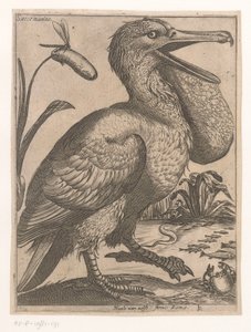 Water Bird by Jacques de Fornazeris