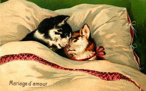 A Wedding Full of Love by Jaime Abecasis