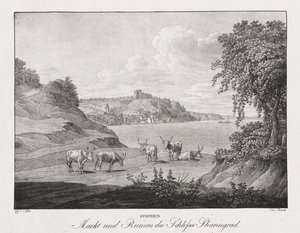 Syrmia, Market and Ruins of Sharengrad Castle by Jakob Alt