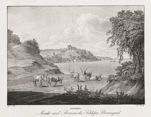 Syrmien, Market and Ruins of the Sharengrad Castle by Jakob Alt