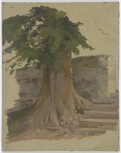 Old Tree by a Wall by Jakob Becker