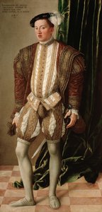 Portrait of Ferdinand II, Archduke of Austria by Jakob Seisenegger