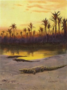 Crocodile at Sunset on the Bank of the Upper Nile