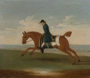 Chestnut Racehorse Exercised by a Trainer in a Blue Coat by James (attr.) Seymour