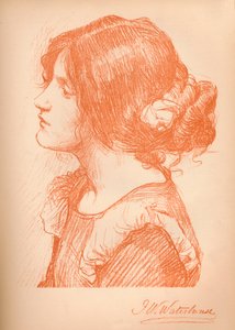Sketch of a Woman