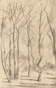 The Dam Wood by James Abbott McNeill Whistler