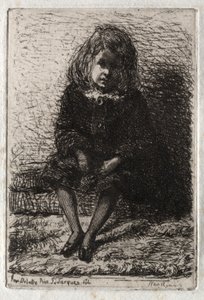 Twelve Etchings from Nature