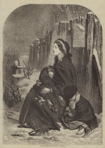 In the Bitter Cold