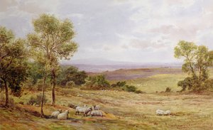 Cumberland hills from Wardrew House, Gilston