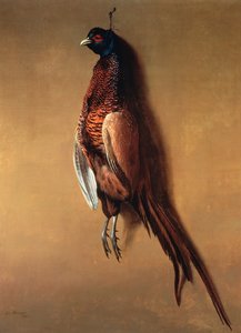 Hanging Cock Pheasant