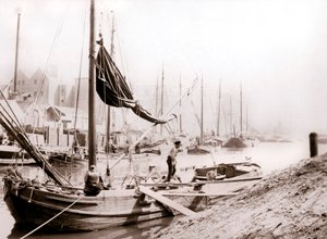 Canal Boats, Rotterdam