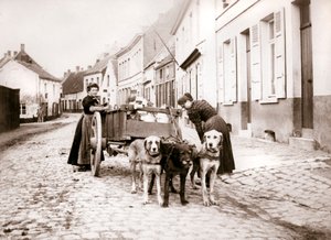 Women and Dogcart, Antwerp, 1898 by James Batkin