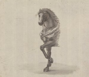 Study of the Front of a Horse by James Bruce