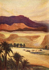 A Palestine Camp at Elim - Heb. xiii. 11