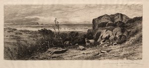 At Marblehead Neck by James David Smillie