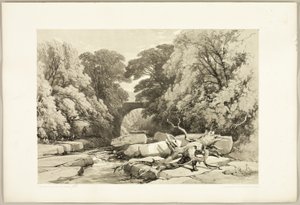 Ash and Alder on the Greta, from The Park and the Forest
