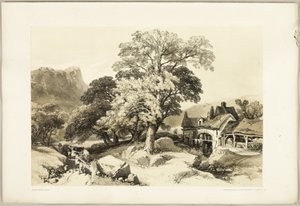 Ash and Oak, from The Park and the Forest by James Duffield Harding