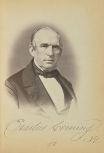 Erastus Corning by James Earle McClees