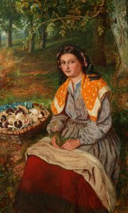 The Mushroom Gatherer