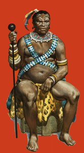 Chief Dingaan of the Zulus by James Edwin McConnell
