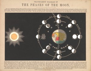 Transparent Diagram of the Phases of the Moon