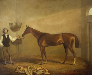 Bravissimo, Winner of the Monmouthshire Hunt Cup at Abergavenny by James Flewitt Mullock