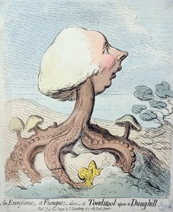 An Excrescence; A Fungus; Alias - A Toadstool upon a Dung-hill, Published by Hannah Humphrey in 1791