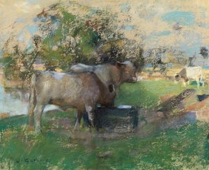 Pastureland