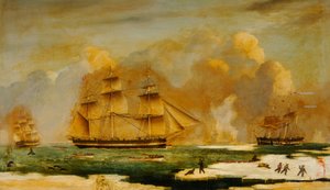 Hull Whaler Abram