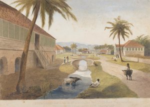Holland Estate, St. Thomas in the East, Jamaica by James Hakewill