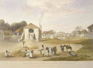 Mill Yard, Holland Estate, St. Thomas in the East by James Hakewill