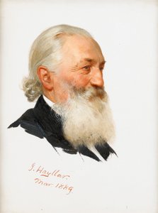Study of a Bearded Gentleman, 1889