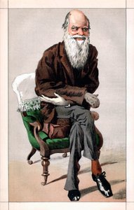 Portrait of Charles Darwin by James Jacques Joseph  Tissot