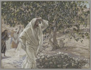 The Accursed Fig Tree, illustration from The Life of Our Lord Jesus Christ by James Jacques Joseph Tissot