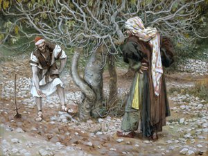 The Barren Fig Tree, Illustration for The Life of Christ