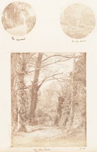 The Approach, In the Wood, By the Lake by James Knight