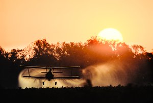 Crop Duster Biplane Sprays Pesticides onto a Field of Crops along the Mississippi River