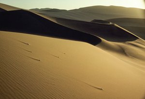 View of sharply-cut shadowed dunes near Dunhuang. Gansu Province, People