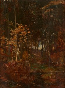 A Wooded Path