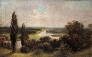 View Down Over Ham Fields from Top of Richmond Hill