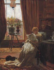 A Quiet Afternoon