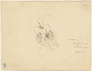Butterfly by James McNeill Whistler