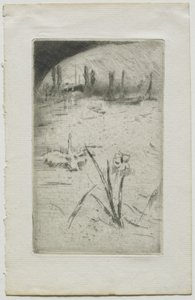 Swan and Iris