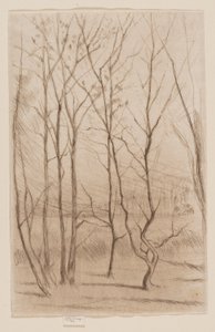 The Dam Wood by James Abbott McNeill Whistler