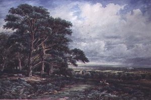 Bradgate Park near Leicester by James Orrock